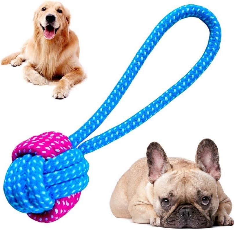         Kit Brinquedos 10 Cordas e Mordedores Cães Porte Médio Grande       