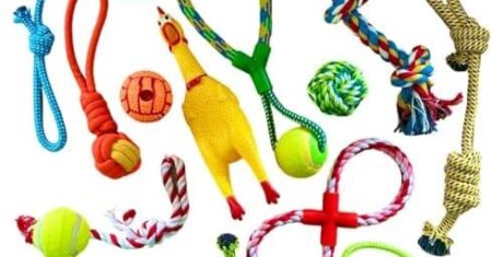 Análise Completa do Kit Brinquedos 10 Cordas e Mordedores para Cães de Porte Médio e Grande: Diversão e Saúde para Seu Melhor Amigo!