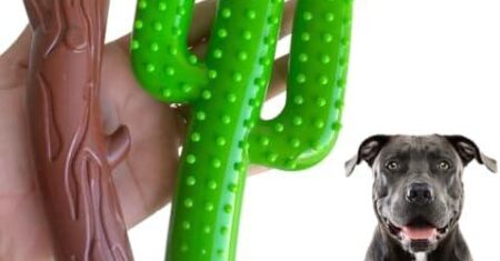 Análise do Kit 2 Brinquedos de Cachorro Morder Nylon Graveto e Cacto Texas: Diversão Ultra Resistente para Cães de Porte Médio a Grande!