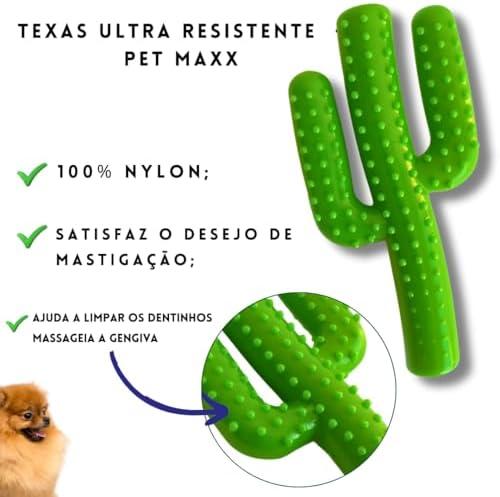         kIT 2 Brinquedos de Cachorro Morder Nylon Graveto e Cacto Texas Ultra Resistente e Grande - G, Brinquedo Para Cães Pet de Porte Médio a Grande, Medidas: 18x9cm       