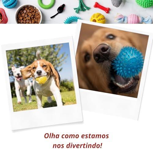         Elo Imports Kit 12 Brinquedos Sonoros de Borracha Premium para Pets - Mordedores Divertidos para Cães e Gatos Material Resistente Atoxico Sortido       