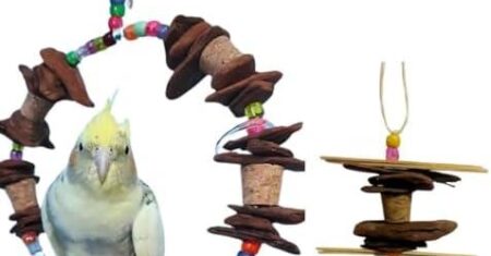 Descubra o Kit Balanço Rolha e Brinquedo Rolha Interativo para Calopsitas e Aves Agapornis – Diversão e Estímulo para seu Periquito Ring Neck!
