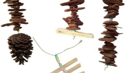 Descubra o Kit Brinquedo para Calopsita, Periquito e Agapornis: Diversão e Estímulo para seus Pássaros!