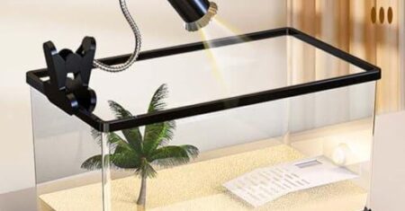 Elvaesther Kit de Tanque de Tartaruga: O Aquário Ideal para Tartarugas, Caranguejos e Peixes – Análise Completa do Modelo Grande Transparente