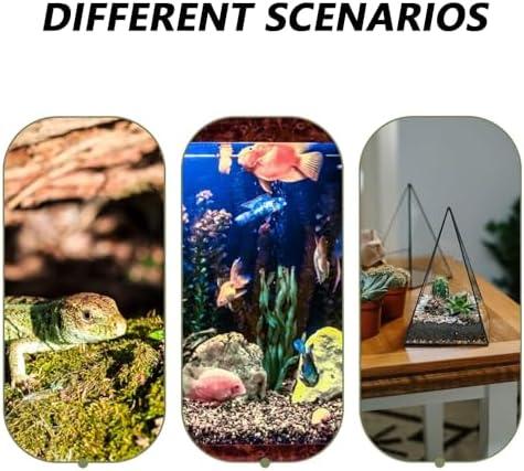         HALONTIN Decorações para aquários de peixes Betta Acessórios de aquário Ornamento de aquário para camarão ciclídeo esconderijo caverna decoração de aquário Betta peixes brinquedos esconderijo casa       