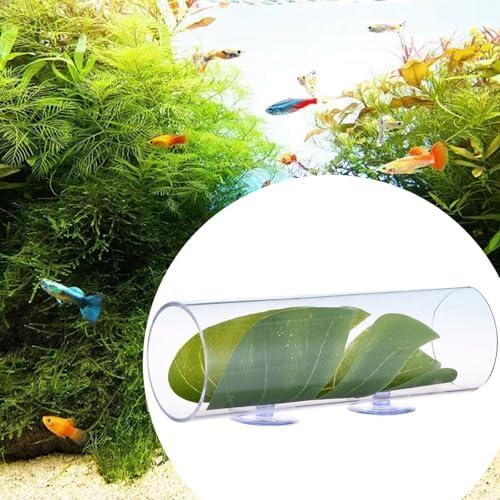         Ioensy Betta Tunnel Betta Fish Acrylic Tube, acessório para aquário, brinquedo para peixe Betta, caverna para aquário Betta Fish Cave para lagostins       