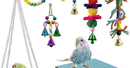 Pacote N/A: Avaliação Completa dos 8 Brinquedos para Mastigar de Pássaros – Rede de Papagaio, Anéis, Corda de Sino e Tábua Fosca!