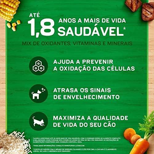         Purina Dog Chow Nestlé Purina Dog Chow Extralife Adultos Médios E Grandes Carne Frango E Arroz 10 1Kg       