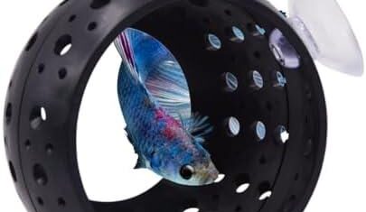 Saim Brinquedos de Túnel de Peixe Betta: A Caverna Ideal para Decorar seu Aquário de Peixes e Proporcionar Conforto a Betta, Guppies e Camarões!