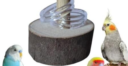 Título: Brinquedo Pega Argola: Diversão Garantida para Calopsitas, Periquitos e Agapornis!
