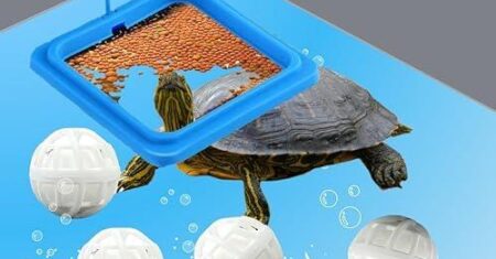 Título: Descubra o Anel Quadrado de Alimentação para Tartarugas com Ventosa e Conjunto de 4 Bolas Nitrificantes: Ideal para Tartarugas, Peixes Dourados e Guppies!