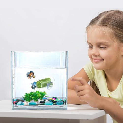         NANEEZOO Brinquedos Betta Fish, túnel de tubo de acrílico Betta, design vazado, esconderijo de caverna de peixes Betta com ventosa, brinquedos mais seguros para pequenos peixes, camarões, acessórios       