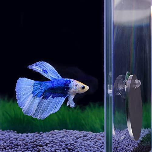         WE-POLUJ Espelho flutuante Betta para aquário de peixes, espelho redondo flutuante de 5 cm/6 cm/7 cm, especial para espelho de fitness Betta, acessório de peixe betta       